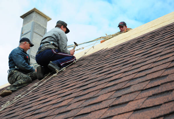 Best Roof Gutter Cleaning  in Wildwood, FL